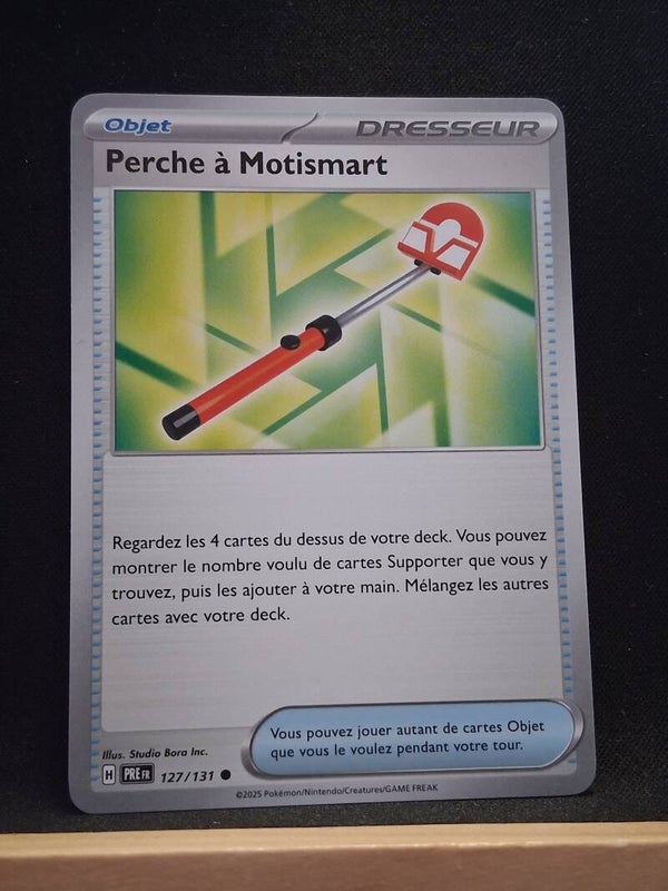 Perche A Motismart (Dresseur)1