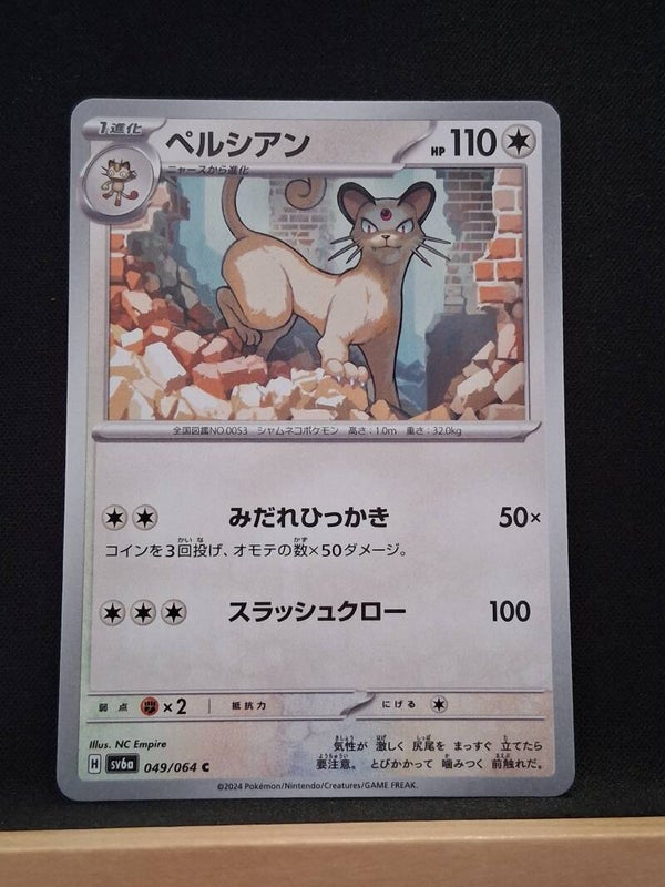 Persian 110 (Japonais)4