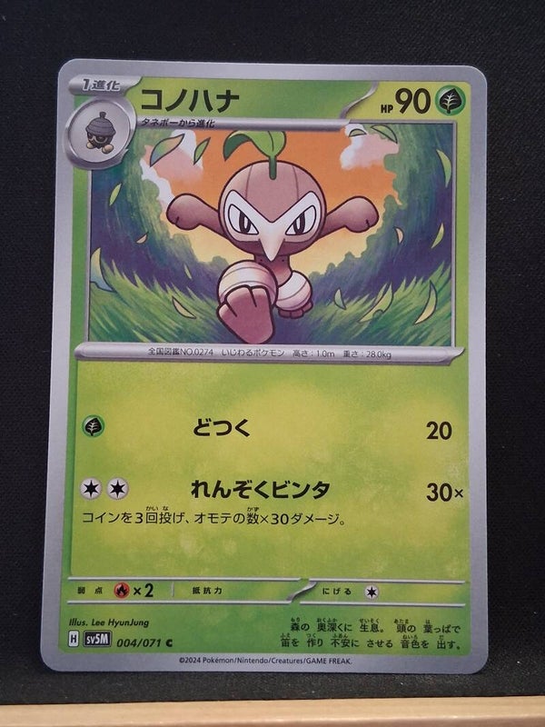 Pifeuil 90 (Japonais)4