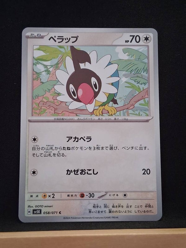 Pijako 70 (Japonais)2
