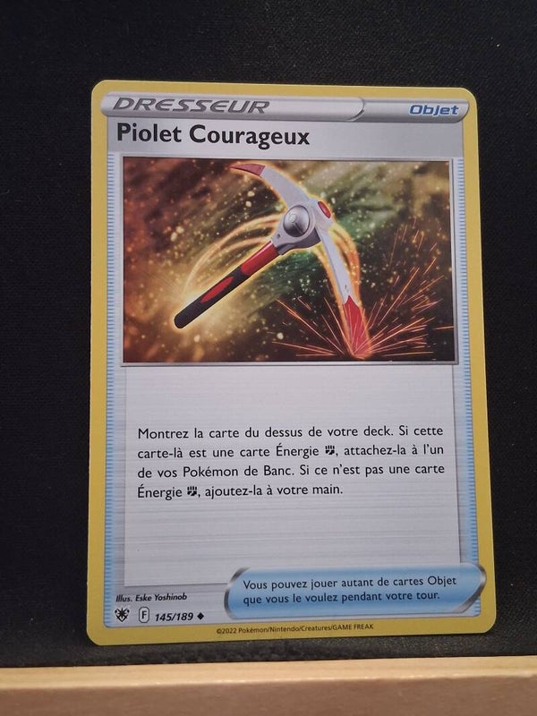 Piolet Courageux (Dresseur)1