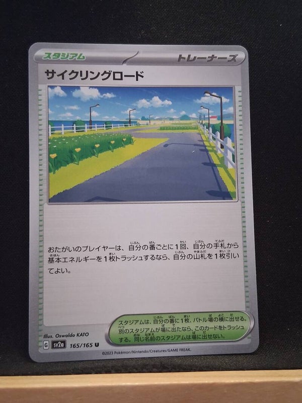 Piste Cyclable (Dresseur) (Japonais)1