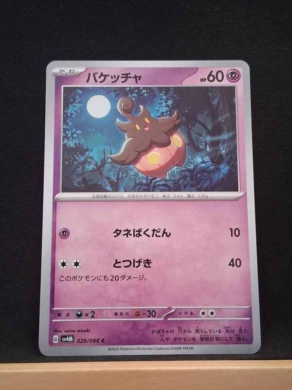 Pitrouille 60 (Japonais)3