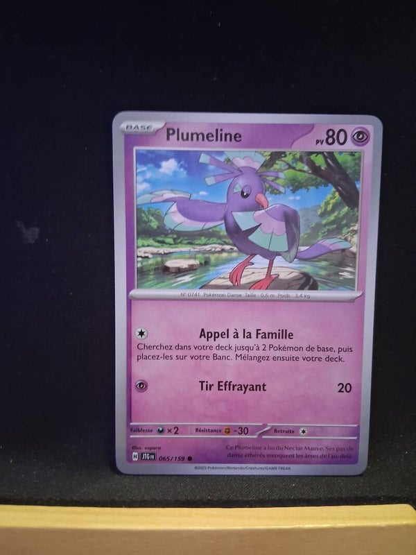 Plumeline 80-1