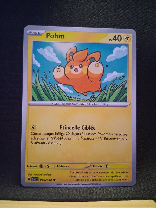 Pohm 40-6