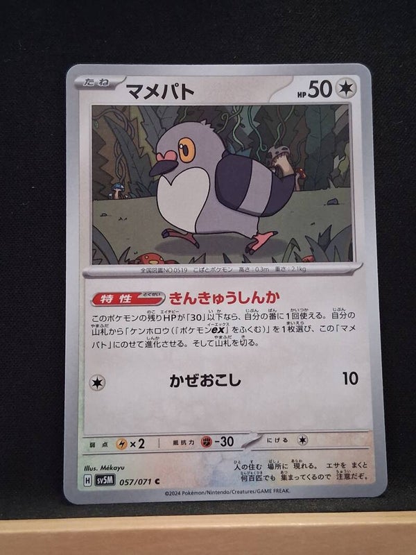 Poichigeon 50 (Japonais)6
