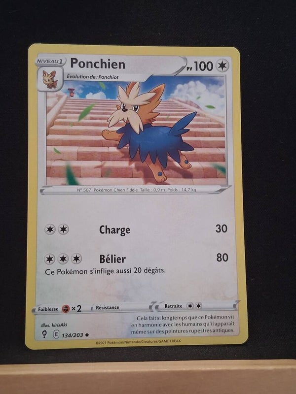 Ponchien 100-1