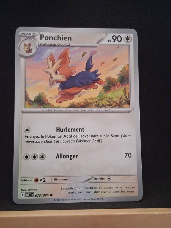Ponchien 90-3