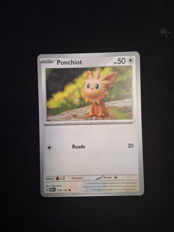 Ponchiot 50-2