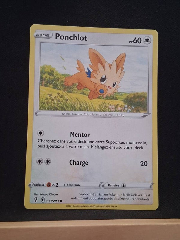 Ponchiot 60-10