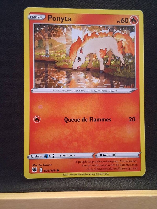 Ponyta 60-4
