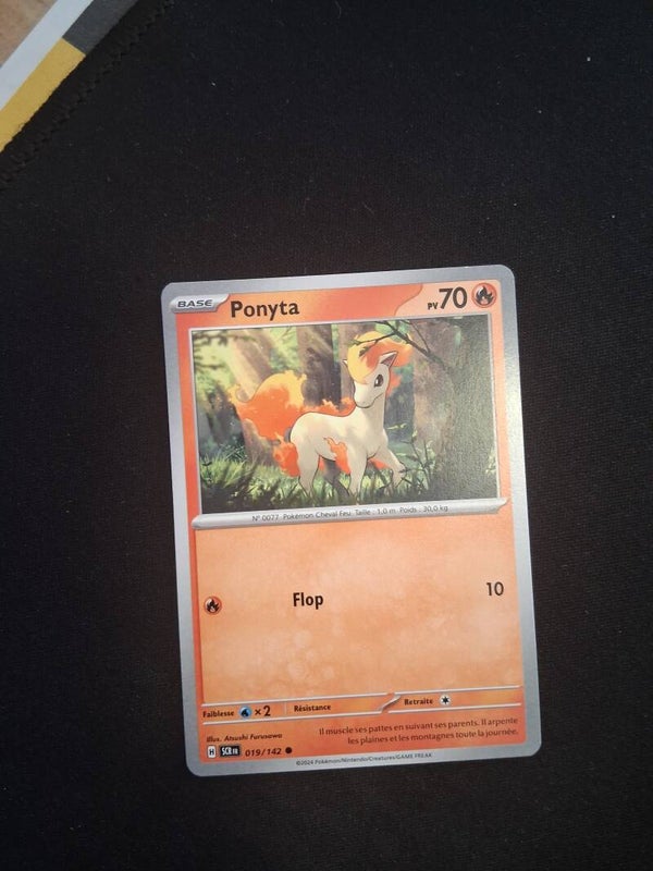 Ponyta 70-1