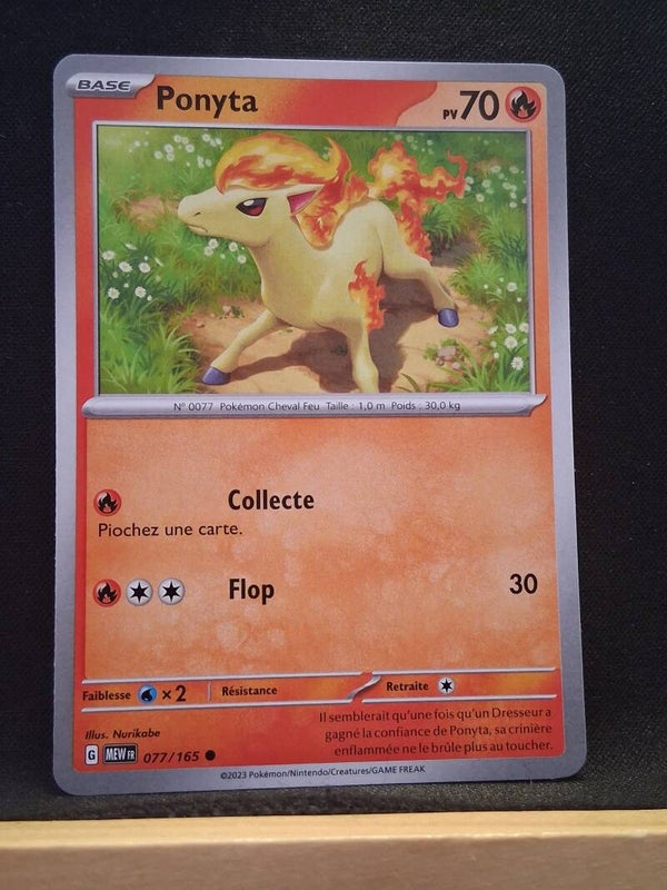 Ponyta 70-3