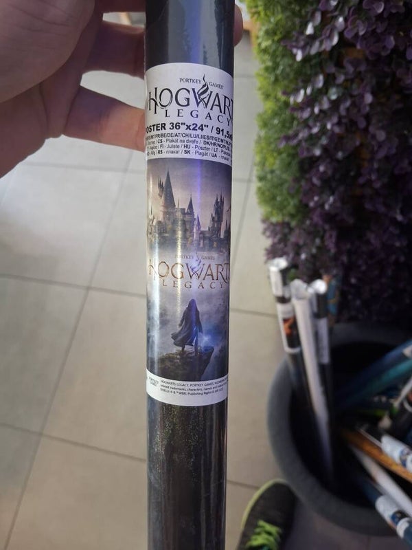 Poster Hogwart Legacy Neuf