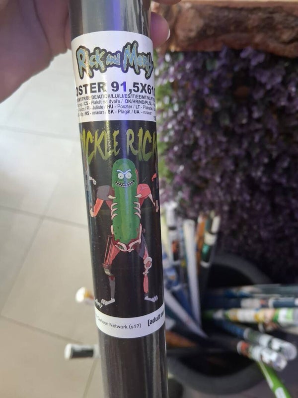 Poster Rick And Morty Neuf