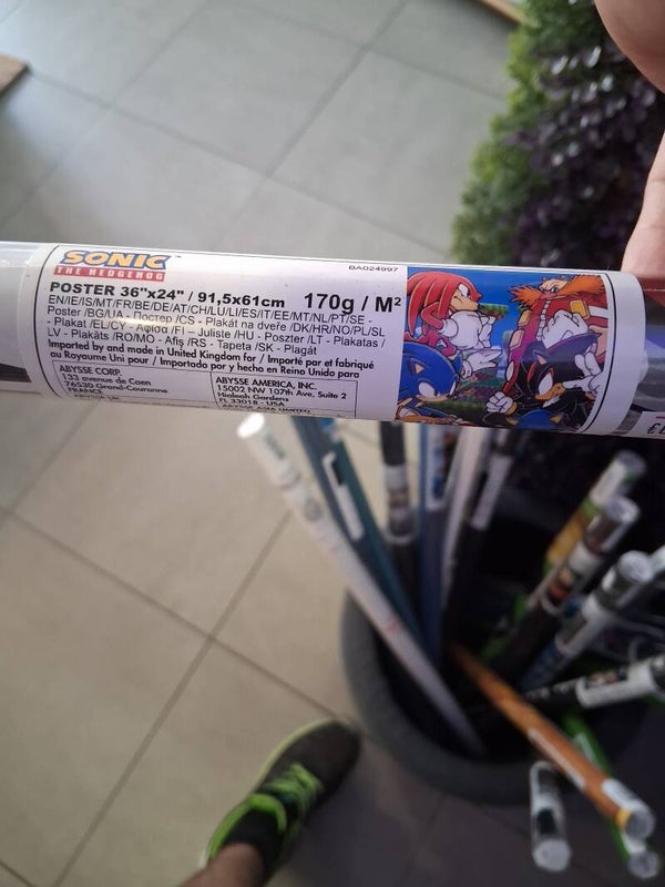 Poster Sonic Neuf