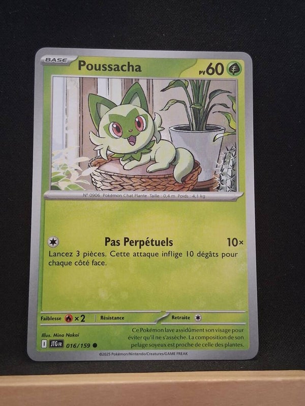 Poussacha 60-4