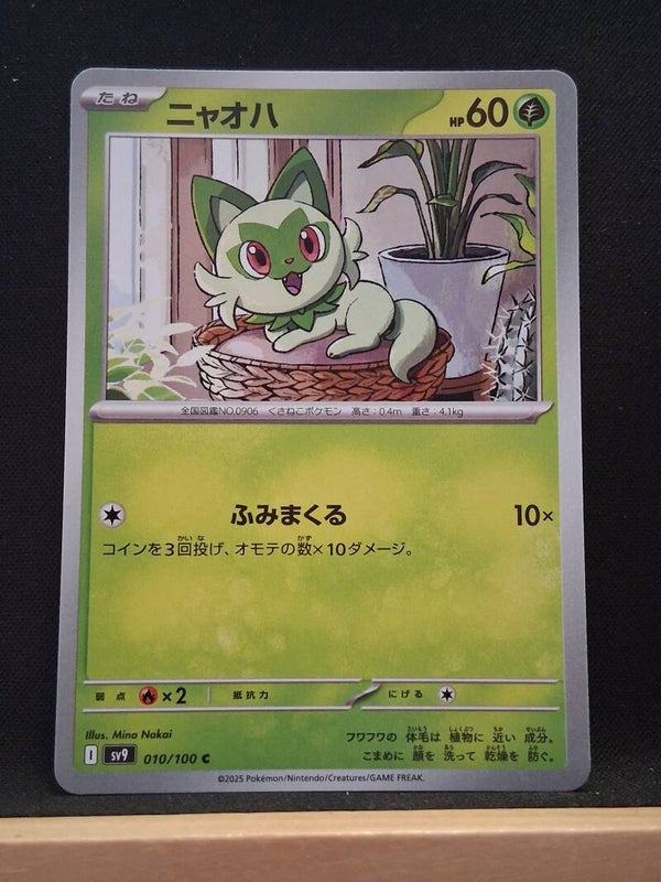 Poussacha 60 (Japonais)1