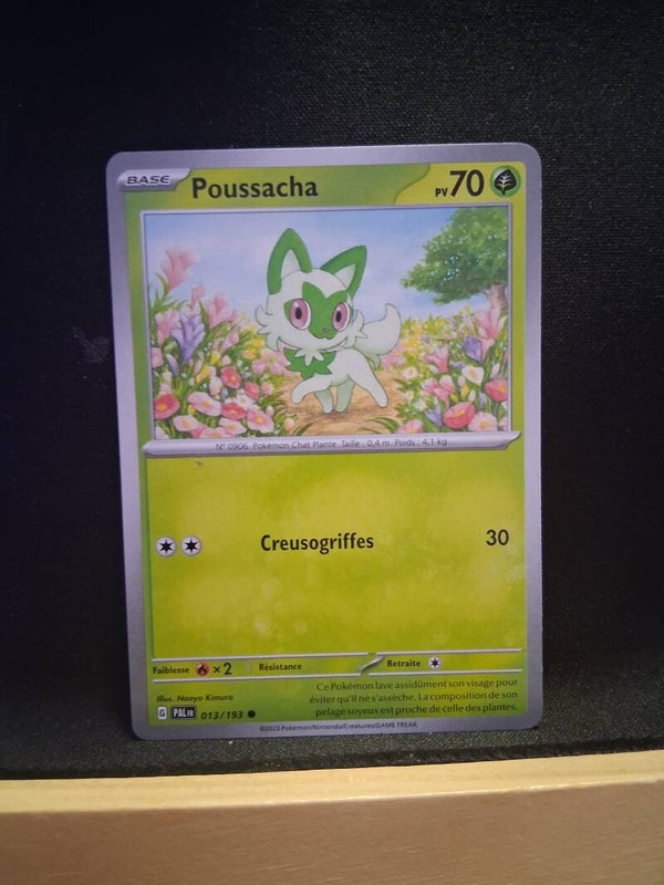 Poussacha 70-1