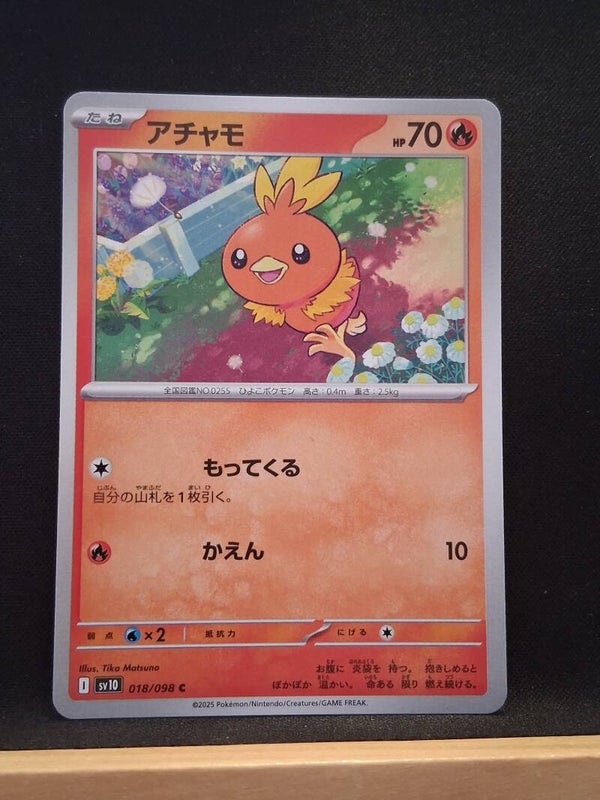 Poussifeu 70 (Japonais)8