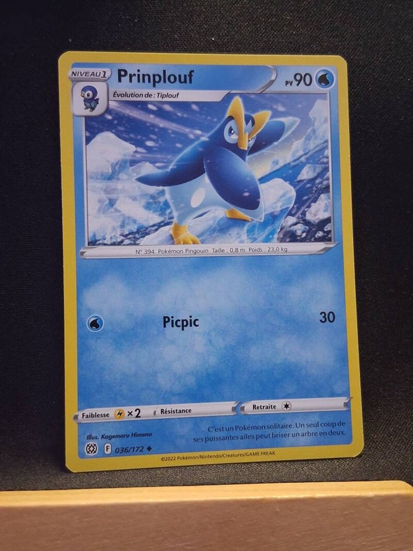 Prinplouf 90-5