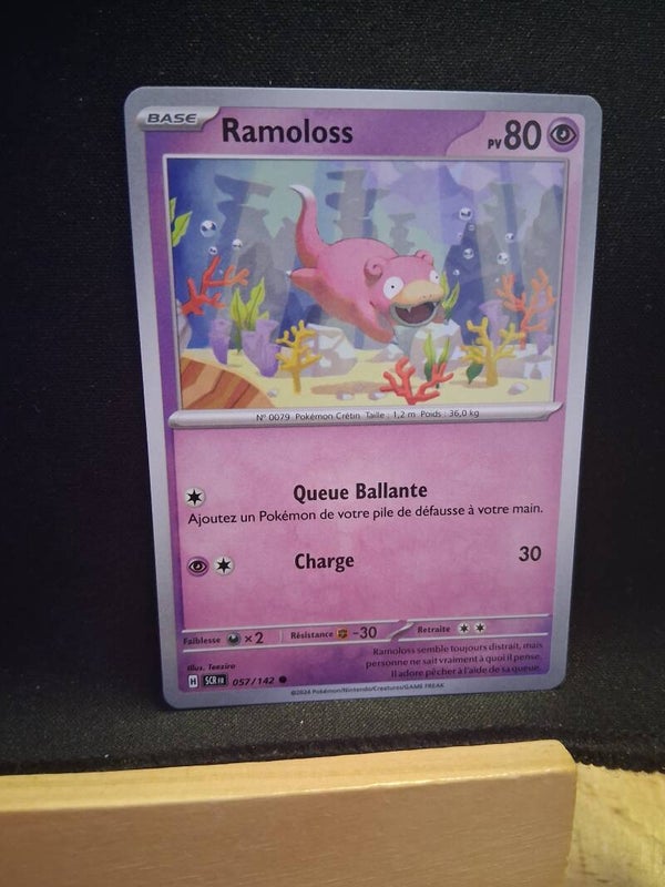 Ramoloss 80-2