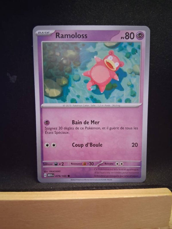 Ramoloss 80-4
