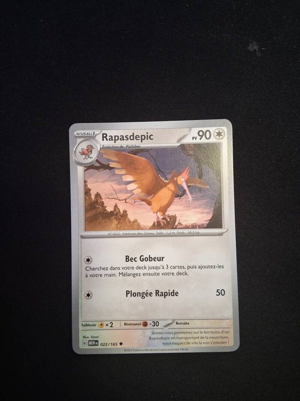 Rapasdepic 90-3