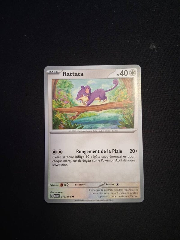 Rattata 40-5