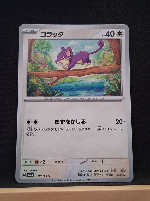 Rattata 40 (Japonais)2