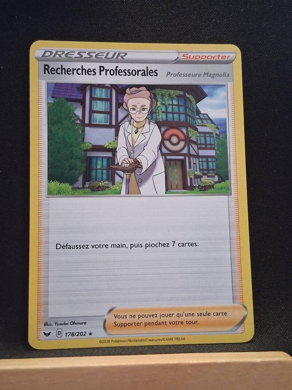 Recherches Professorales (Dresseur)3
