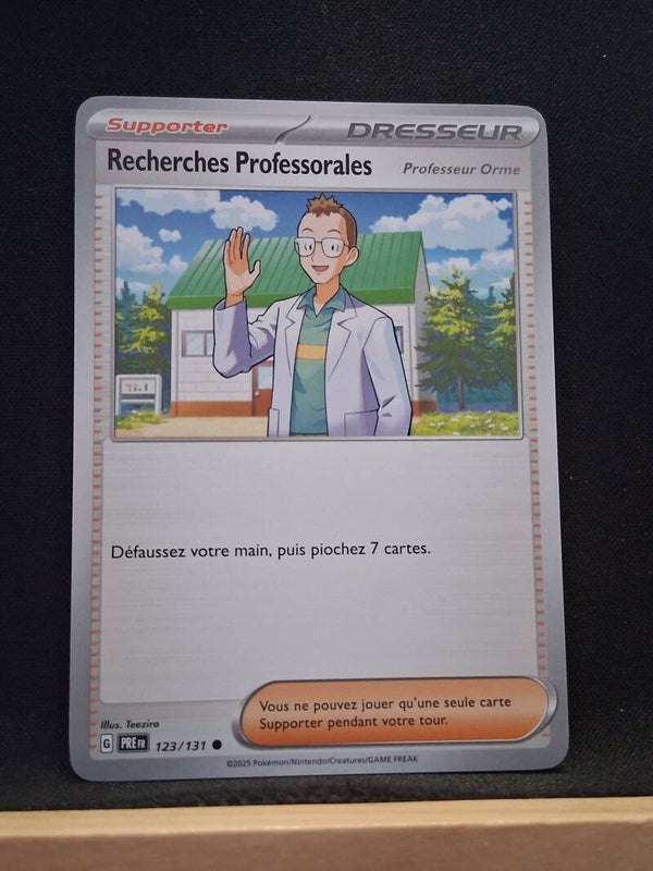 Recherches Professorales (Dresseur)9
