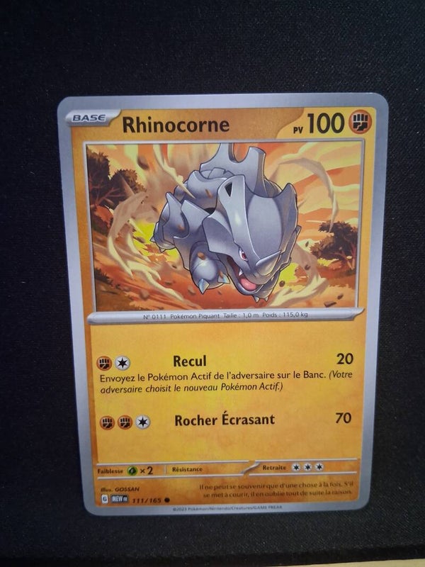 Rhinocorne 100-3