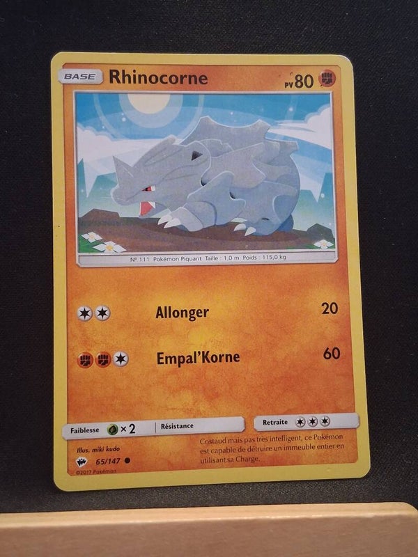 Rhinocorne 80-1