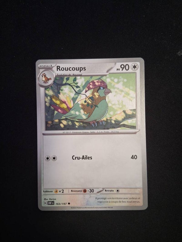 Roucoups 90-1
