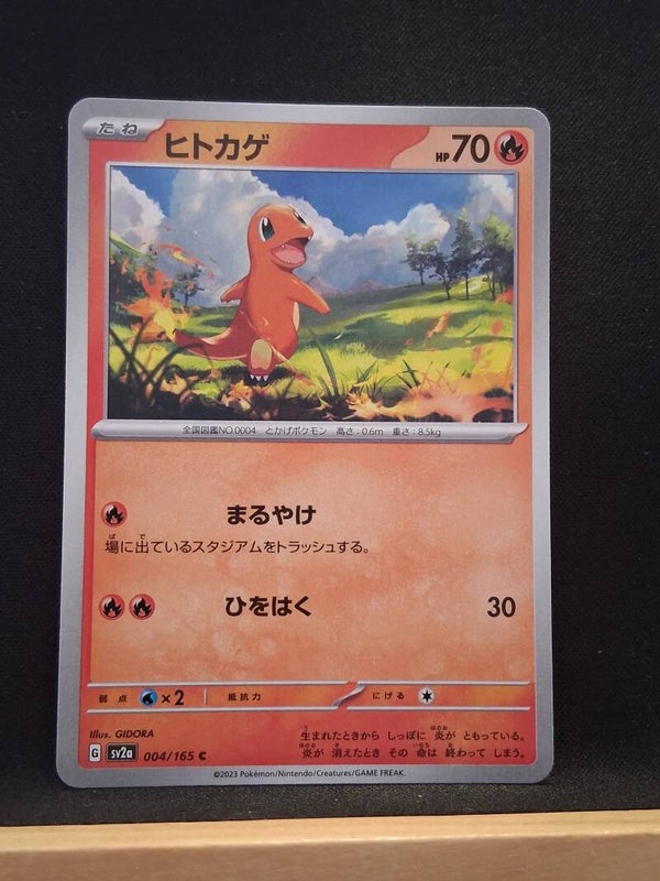 Salamèche 70 (Japonais)1