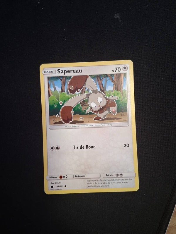 Sapereau 70-1