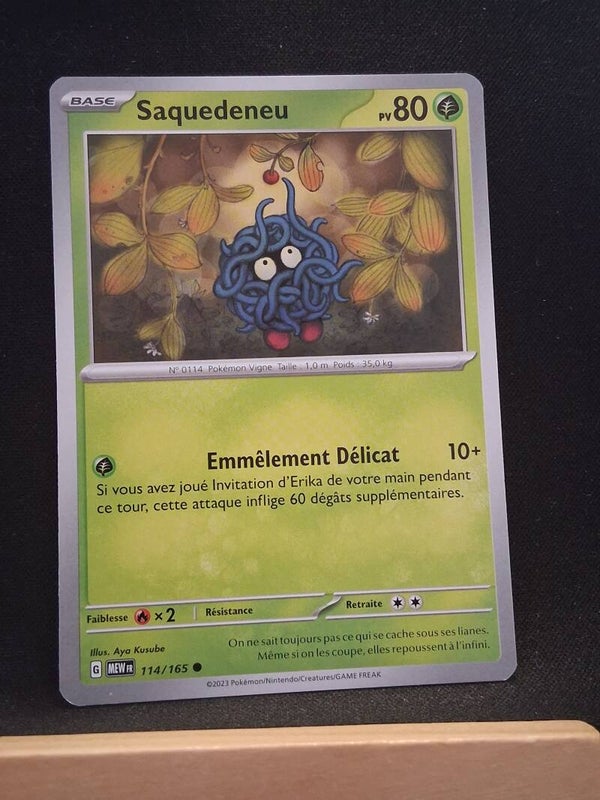 Saquedeneu 80-16