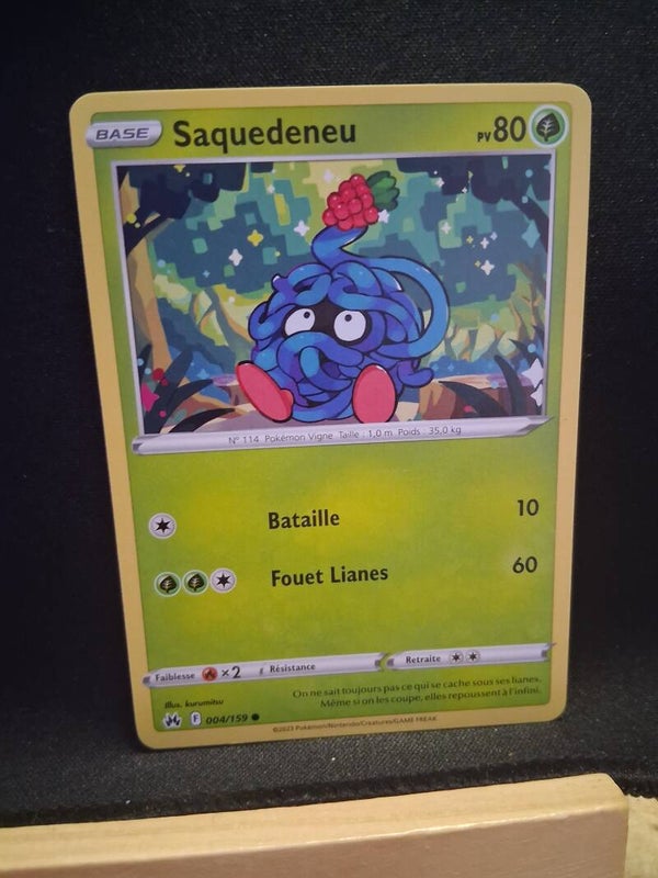 Saquedeneu 80-9