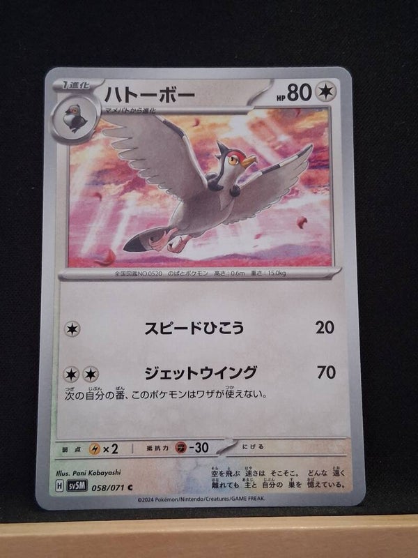 Scobolide 80 (Japonais)1