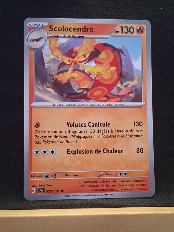 Scolocendre 130-2