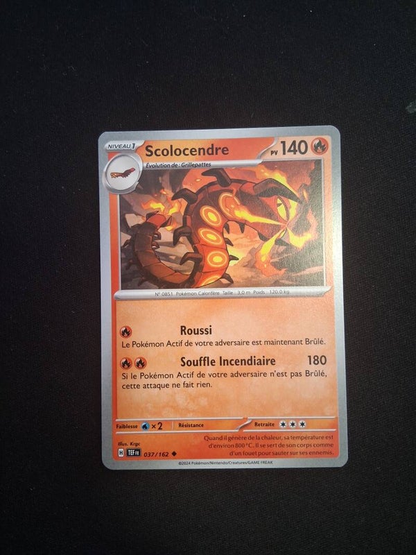 Scolocendre 140-1
