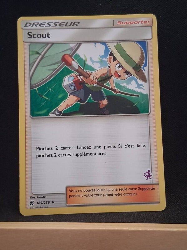 Scout (Dresseur)5