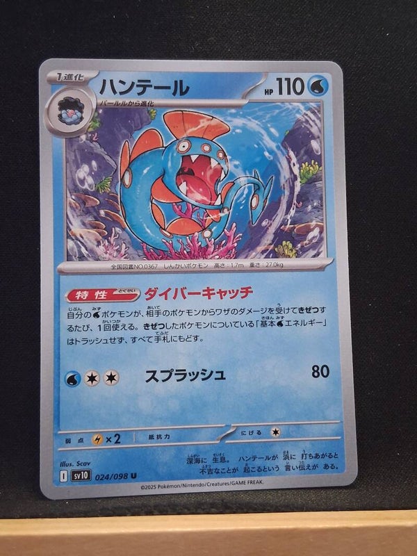 Serpang 110 (Japonais)1