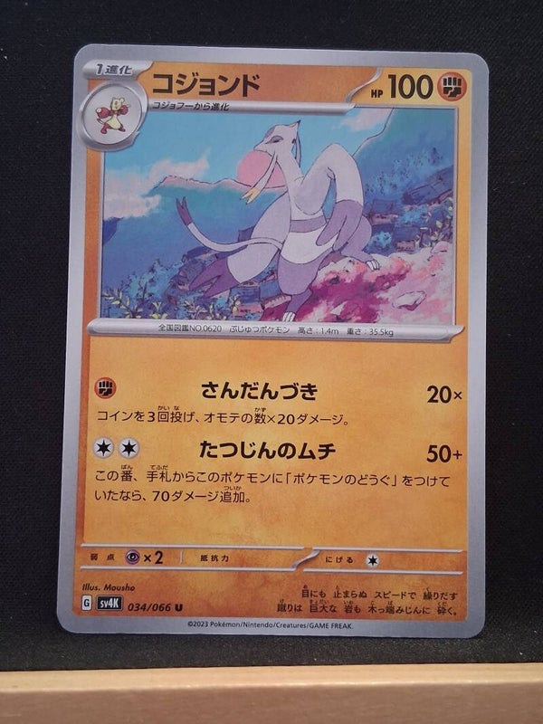 Shaofouine 100 (Japonais)3