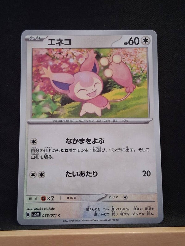 Skitty 60 (Japonais)5