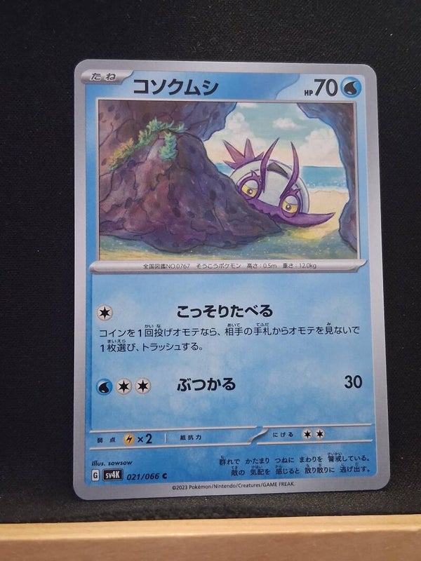 Sovkipou 70 (Japonais)1