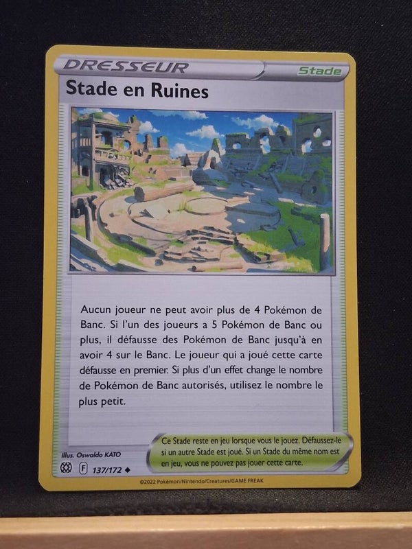 Stade En Ruines (Dresseur)5