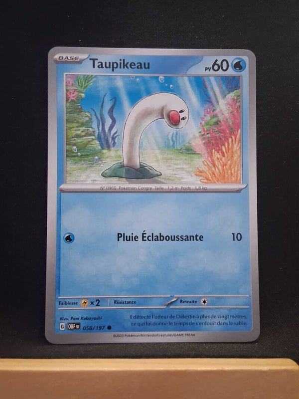 Taupikeau 60-10