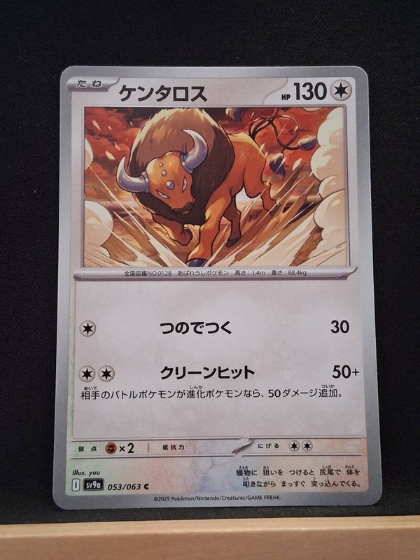 Tauros 130 (Japonais)1